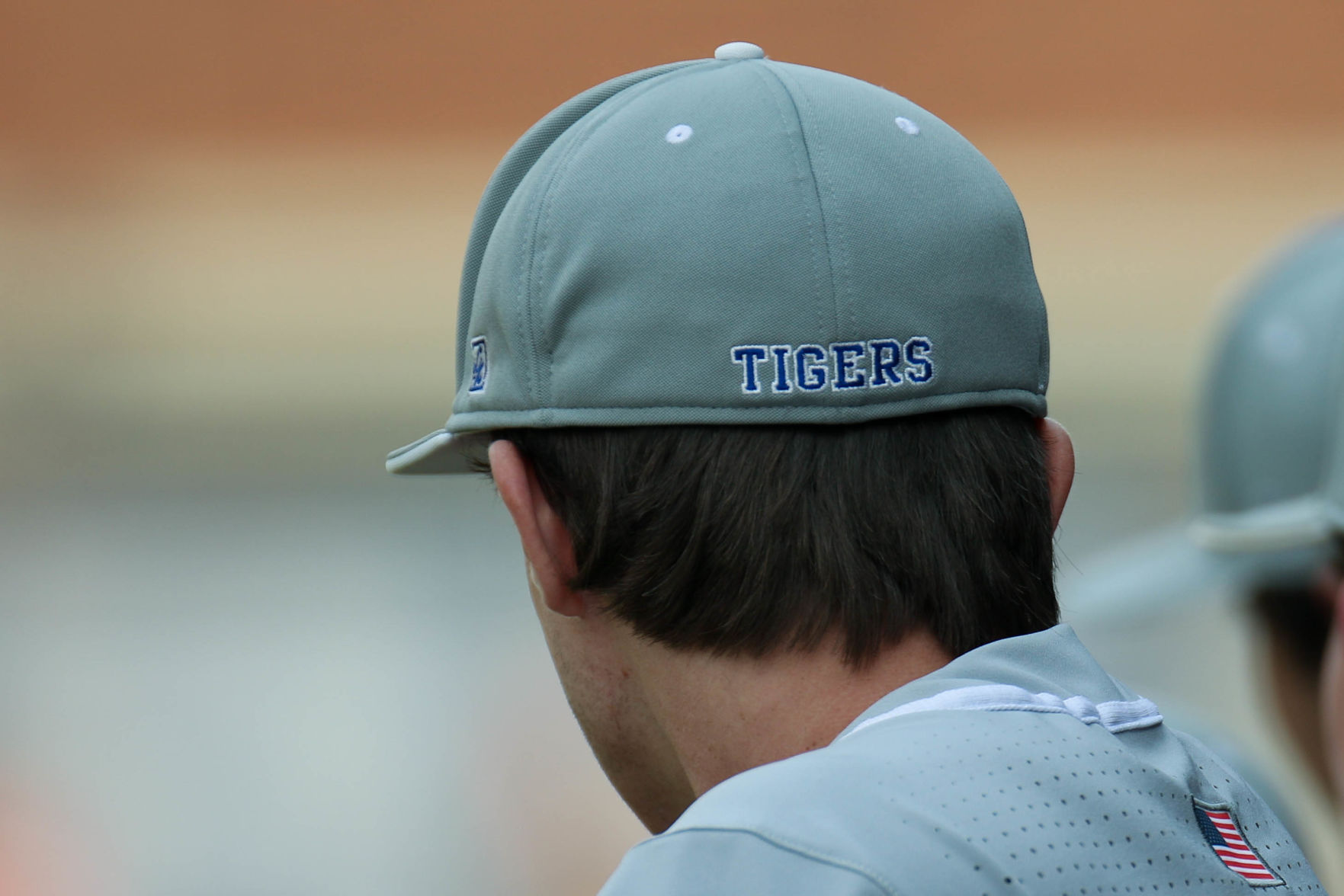 Auburn High vs. Hewitt-Trussville high school baseball